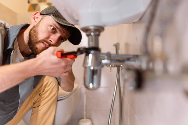 Best Residential Plumbing Services  in Meridian, CO